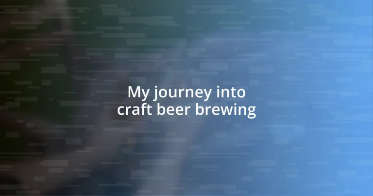 My journey into craft beer brewing