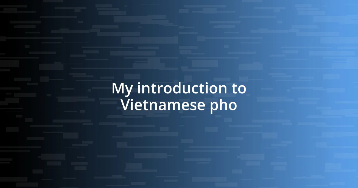 My introduction to Vietnamese pho