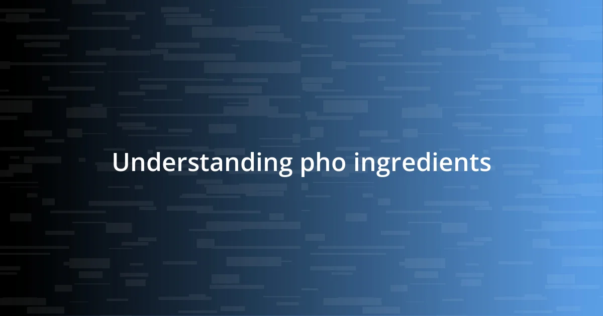 Understanding pho ingredients