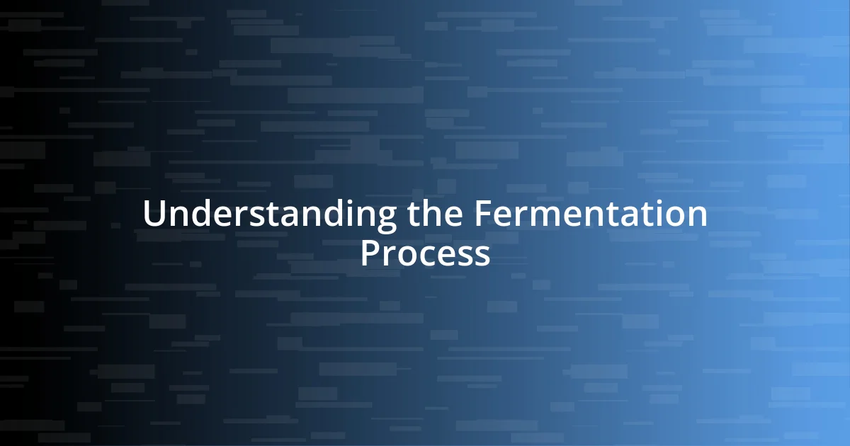 Understanding the Fermentation Process