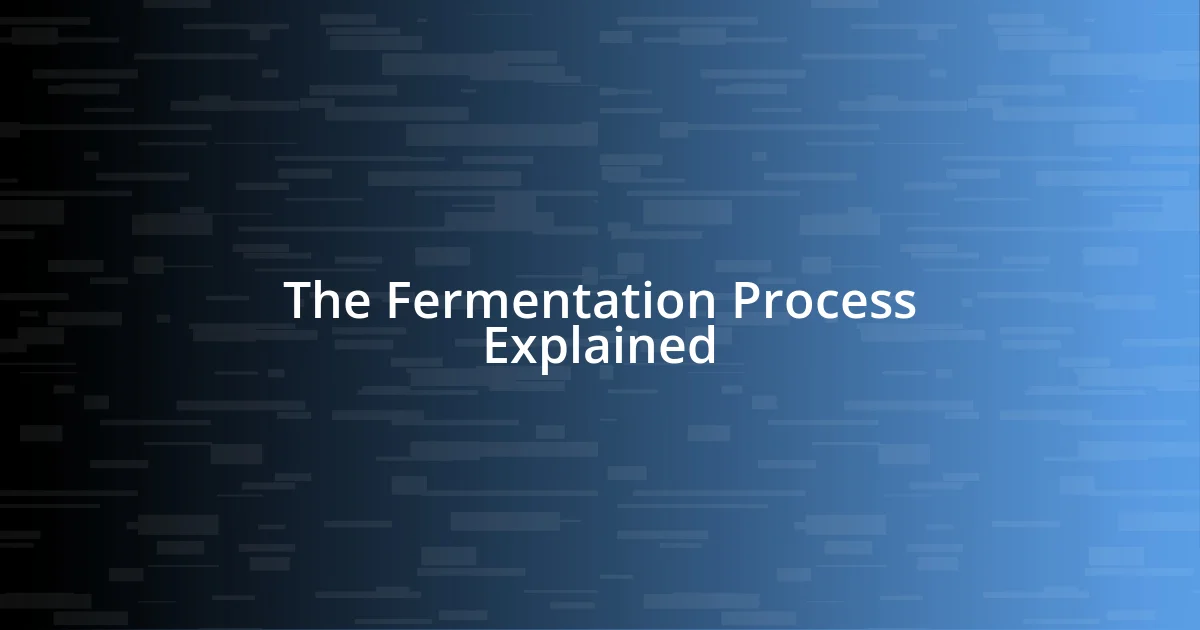 The Fermentation Process Explained